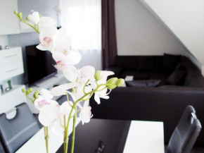 La Domus Premium Osnabrück Lotte